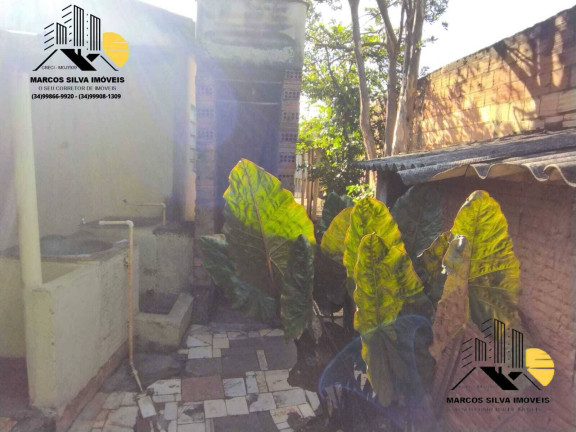 Imagem Casa com 3 Quartos à Venda, 300 m² em Segismundo Pereira - Uberlândia Imagem Casa com 3 Quartos à Venda, 300 m² em Segismundo Pereira - Uberlândia