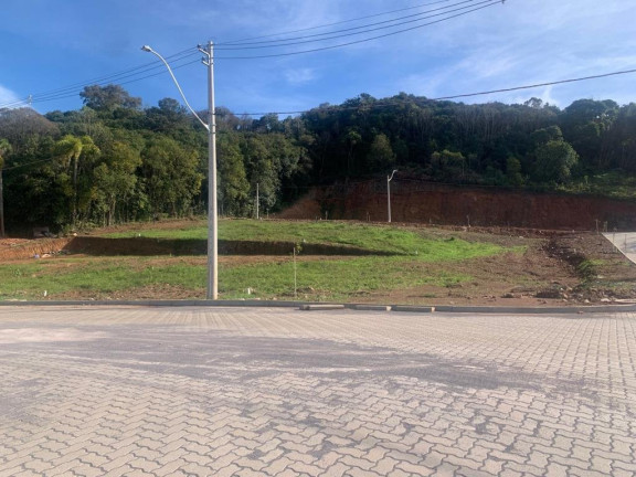 Imagem Terreno à Venda, 293 m² em Sao Roque - Bento Gonçalves