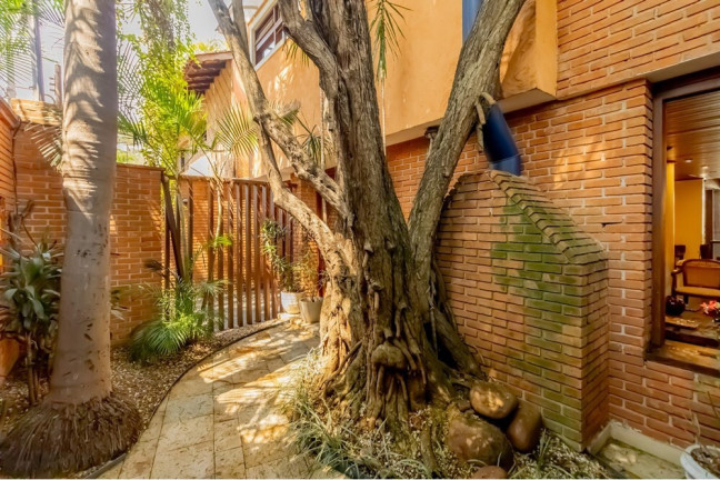 Imagem Casa com 4 Quartos à Venda, 310 m² em Moema - São Paulo