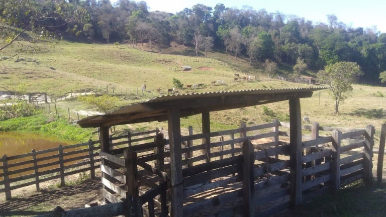 Fazenda à Venda, 100 m² em Vila Rica - Cunha