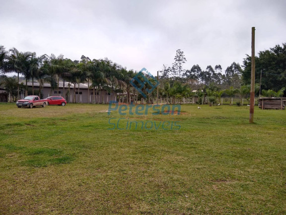 Imagem Chácara à Venda, 10.000 m² em Morro Alto - Balneário Piçarras