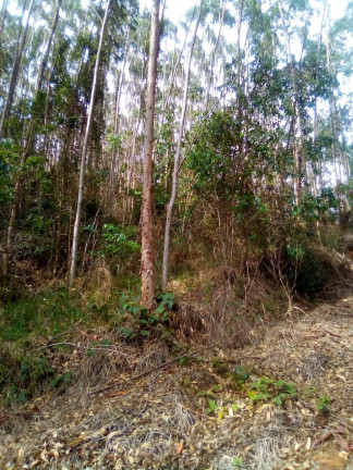 Imagem Terreno à Venda, 1 m² em Parque Santo Antônio - Jacareí Imagem Terreno à Venda, 1 m² em Parque Santo Antônio - Jacareí