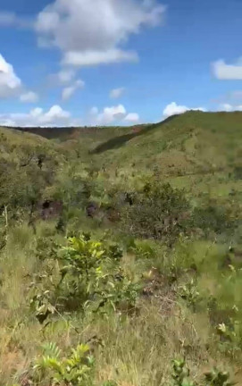 Imagem Fazenda à Venda, 530 m² em Campo Verde Imagem Fazenda à Venda, 530 m² em Campo Verde
