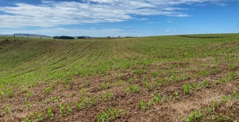 Imagem Fazenda à Venda, 104 m² em Localidade Azulega - Cambara Do Sul Imagem Fazenda à Venda, 104 m² em Localidade Azulega - Cambara Do Sul