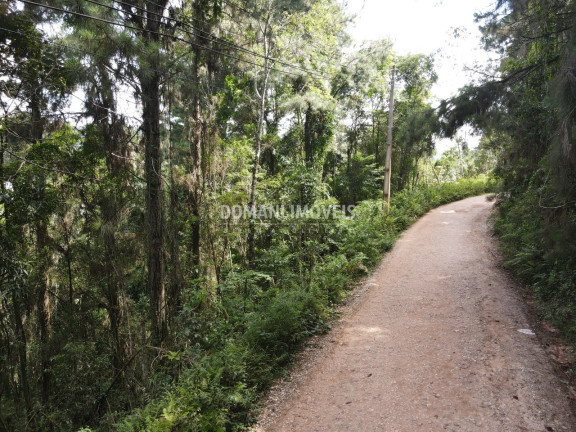 Imagem Terreno à Venda, 5.820 m² em Região Do Parque Da água Santa - Campos Do Jordão Imagem Terreno à Venda, 5.820 m² em Região Do Parque Da água Santa - Campos Do Jordão