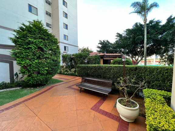 Imagem Apartamento com 4 Quartos à Venda, 62 m² em Vila Santa Catarina - São Paulo