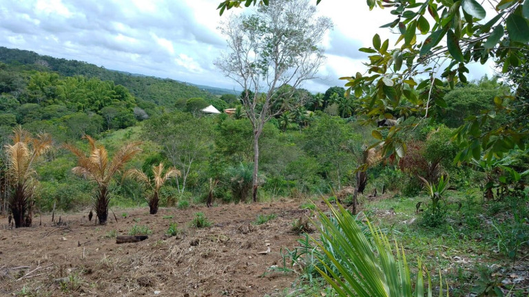 Imagem Chácara com 4 Quartos à Venda, 185.000 m² em Alphaville (abrantes) - Camaçari