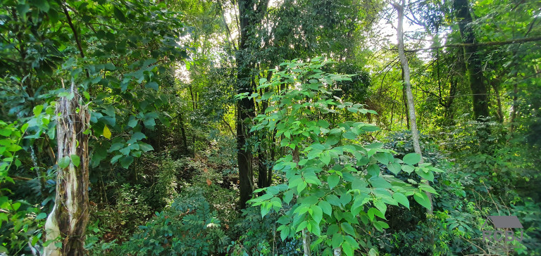 Imagem Terreno à Venda, 1.000 m² em Retiro Do Chalé - Brumadinho Imagem Terreno à Venda, 1.000 m² em Retiro Do Chalé - Brumadinho