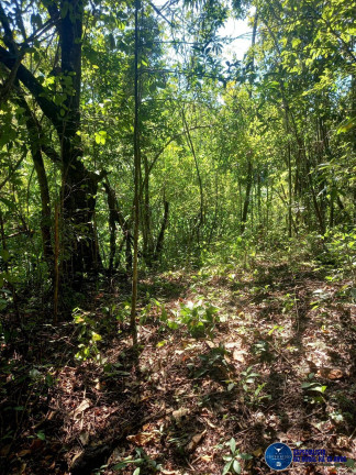 Imagem Chácara à Venda, 5 m² em Jardim Barcelona - Bela Vista De Goiás Imagem Chácara à Venda, 5 m² em Jardim Barcelona - Bela Vista De Goiás
