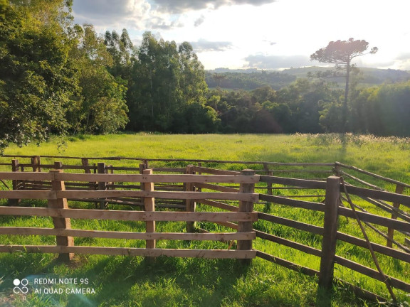 Imagem Imóvel com 2 Quartos à Venda, 96.800 m² em Rural - Japira Imagem Imóvel com 2 Quartos à Venda, 96.800 m² em Rural - Japira
