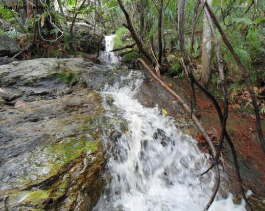 Imagem Fazenda à Venda, 164 m² em Monjolos área Rural - Monjolos