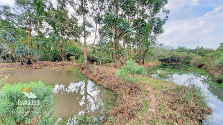 Imagem Fazenda à Venda, 20.000 m² em águas Claras - Viamão Imagem Fazenda à Venda, 20.000 m² em águas Claras - Viamão