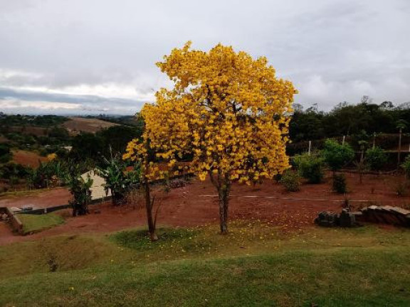 Imagem Casa com 6 Quartos à Venda, 360 m² em Monte Negro - Santa Isabel Imagem Casa com 6 Quartos à Venda, 360 m² em Monte Negro - Santa Isabel