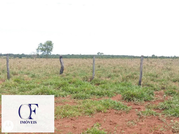 Imagem Fazenda à Venda, 3.097 m² em Rural - Chapadão Do Sul