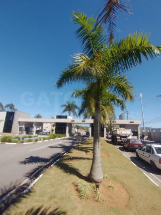 Imagem Casa com 3 Quartos para Alugar, 250 m² em Suru - Santana De Parnaíba Imagem Casa com 3 Quartos para Alugar, 250 m² em Suru - Santana De Parnaíba