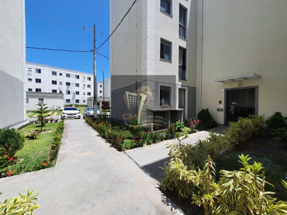 Imagem Apartamento com 2 Quartos à Venda, 45 m² em Piedade - Jaboatão Dos Guararapes Imagem Apartamento com 2 Quartos à Venda, 45 m² em Piedade - Jaboatão Dos Guararapes