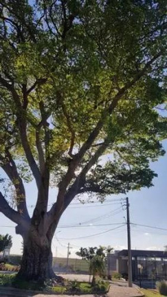 Imagem Terreno à Venda, 250 m² em Residencial Jardim Do Jatobá - Hortolândia Imagem Terreno à Venda, 250 m² em Residencial Jardim Do Jatobá - Hortolândia