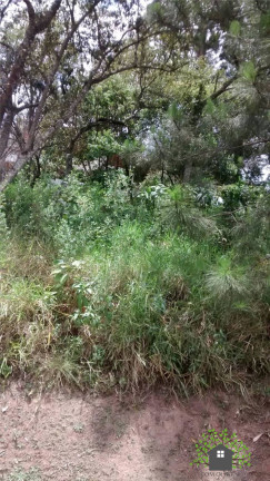 Terreno à Venda, 520 m² em Golf Gardens - Carapicuíba