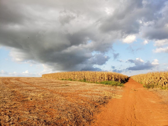 Imagem Fazenda à Venda, 2.178 m² em Rural - Itaí