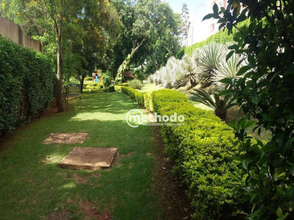 Imagem Apartamento com 3 Quartos à Venda, 76 m² em Jardim Anton Von Zuben - Campinas Imagem Apartamento com 3 Quartos à Venda, 76 m² em Jardim Anton Von Zuben - Campinas