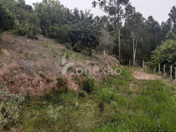 Imagem Chácara com 2 Quartos à Venda, 200 m² em Macaco - Paraibuna Imagem Chácara com 2 Quartos à Venda, 200 m² em Macaco - Paraibuna