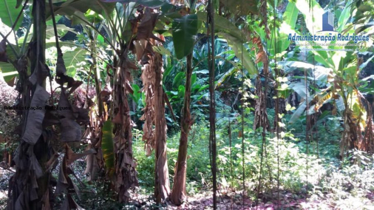 Imagem Chácara à Venda, 1.969 m² em Baldeador - São Gonçalo Imagem Chácara à Venda, 1.969 m² em Baldeador - São Gonçalo