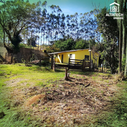 Imagem Imóvel com 3 Quartos à Venda, 18.900 m² em Afonso (rural) - Bandeira Do Sul Imagem Imóvel com 3 Quartos à Venda, 18.900 m² em Afonso (rural) - Bandeira Do Sul
