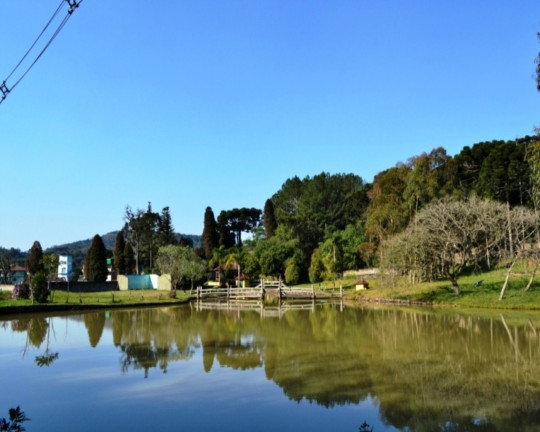 Imagem Imóvel com 3 Quartos à Venda, em Linha Imperial - Nova Petrópolis Imagem Imóvel com 3 Quartos à Venda, em Linha Imperial - Nova Petrópolis