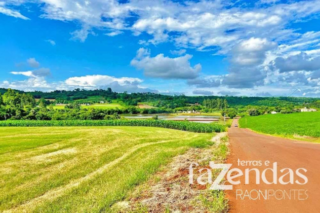 Imagem Fazenda à Venda, 187.200 m² em Vila Nova - Toledo Imagem Fazenda à Venda, 187.200 m² em Vila Nova - Toledo