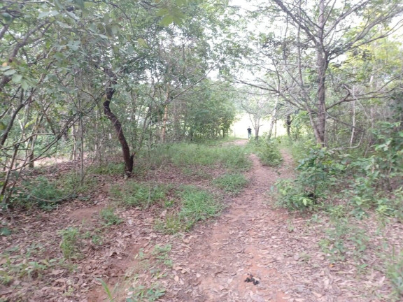 Imagem Chácara à Venda, 5 m² em Estância Itaici - Caldas Novas Imagem Chácara à Venda, 5 m² em Estância Itaici - Caldas Novas