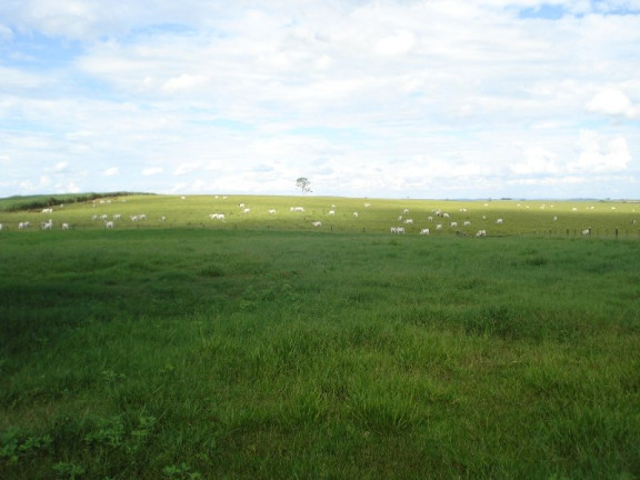 Imagem Imóvel à Venda, 2.042 m² em área Rural De Marília - Marília Imagem Imóvel à Venda, 2.042 m² em área Rural De Marília - Marília