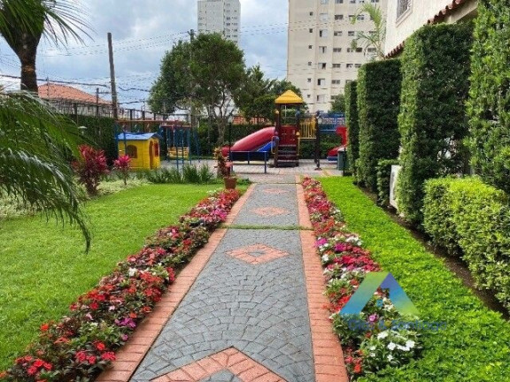 Imagem Apartamento com 3 Quartos à Venda, 64 m² em Vila Vera - São Paulo Imagem Apartamento com 3 Quartos à Venda, 64 m² em Vila Vera - São Paulo