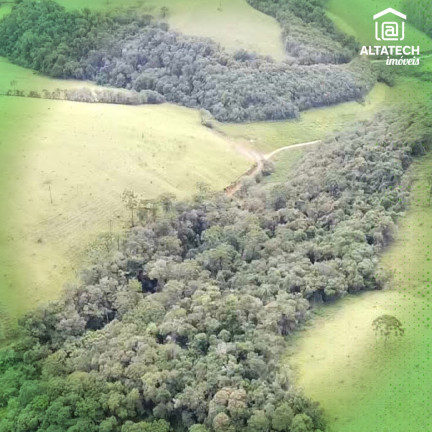 Imagem Imóvel à Venda, 7.032 m² em Santo Antônio - Caldas Imagem Imóvel à Venda, 7.032 m² em Santo Antônio - Caldas