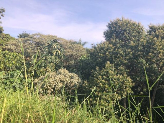 Imagem Terreno à Venda, 674 m² em Chácara Moinho Velho - Carapicuíba Imagem Terreno à Venda, 674 m² em Chácara Moinho Velho - Carapicuíba