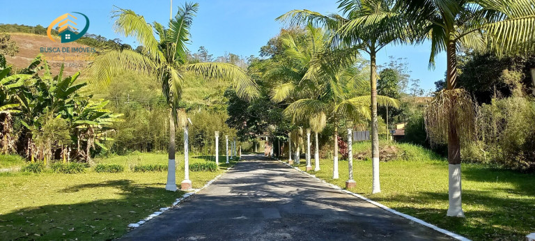 Imagem Imóvel com 7 Quartos à Venda, 25.200 m² em São Caetaninho - Ribeirão Pires
