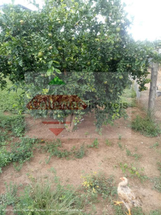 Imagem Chácara com 4 Quartos à Venda, 384 m² em Santa Luzia Rural - Taubaté Imagem Chácara com 4 Quartos à Venda, 384 m² em Santa Luzia Rural - Taubaté