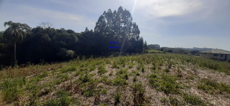 Imagem Imóvel com 1 Quarto à Venda, 20.000 m² em Rural - Mariental Imagem Imóvel com 1 Quarto à Venda, 20.000 m² em Rural - Mariental