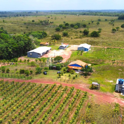 Imagem Imóvel com 3 Quartos à Venda, 9.600.000 m² em Centro - Tomé-açú Imagem Imóvel com 3 Quartos à Venda, 9.600.000 m² em Centro - Tomé-açú