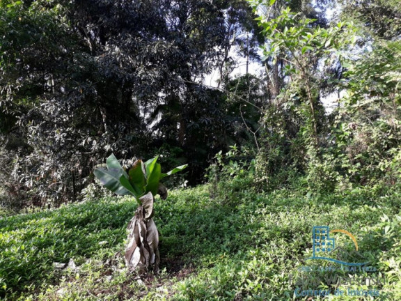Imagem Terreno à Venda, 2.837 m² em Floresta - Joinville