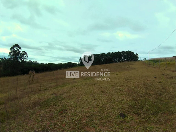 Imagem Chácara à Venda, 29.000 m² em Biriça Do Valado - Bragança Paulista Imagem Chácara à Venda, 29.000 m² em Biriça Do Valado - Bragança Paulista