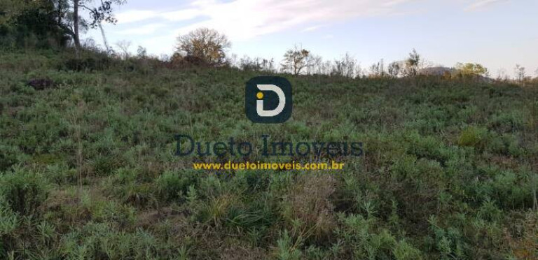 Imagem Terreno à Venda, 140.000 m² em Santa Rosa - Jaguari