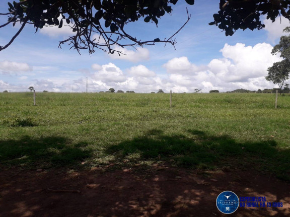 Imagem Chácara à Venda, 13 m² em Zona Rural - Jaraguá Imagem Chácara à Venda, 13 m² em Zona Rural - Jaraguá