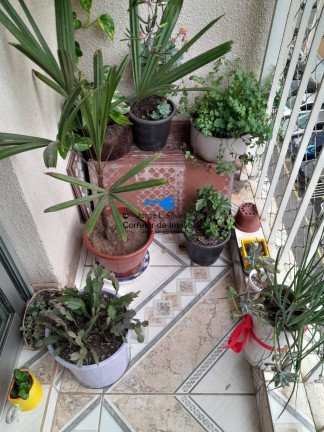 Imagem Apartamento com 2 Quartos à Venda, 47 m² em Panorama (polvilho) - Cajamar