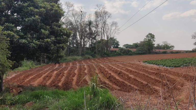 Imagem Imóvel com 2 Quartos à Venda, 96.800 m² em Rural - Japira Imagem Imóvel com 2 Quartos à Venda, 96.800 m² em Rural - Japira