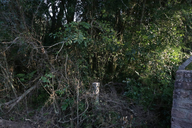 Imagem Terreno à Venda, 1.350 m² em águas Claras - Viamão