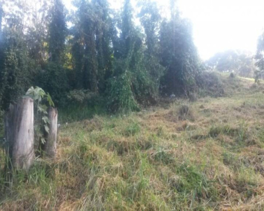 Imagem Terreno à Venda, 1.111 m² em Tamboré - Barueri
