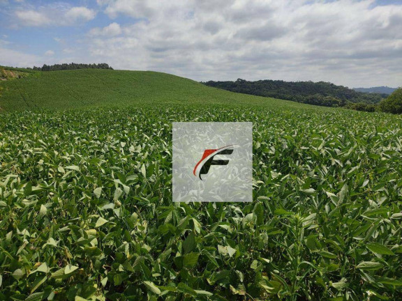 Imóvel à Venda, 117.000 m² em água Amarela - Antônio Olinto