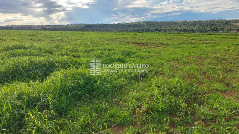 Imagem Imóvel à Venda, 22 m² em Centro - Prata Imagem Imóvel à Venda, 22 m² em Centro - Prata