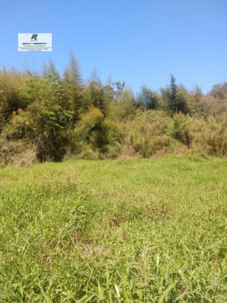 Imagem Terreno à Venda, 2.500 m² em Caetê - São Roque Imagem Terreno à Venda, 2.500 m² em Caetê - São Roque