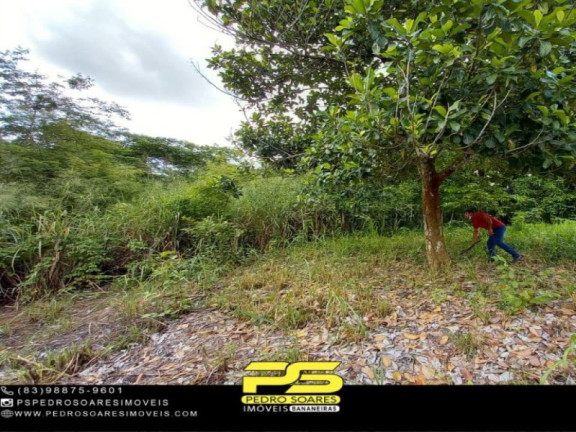 Imagem Imóvel com 1 Quarto à Venda, 20.000 m² em Bananeiras - Bananeiras Imagem Imóvel com 1 Quarto à Venda, 20.000 m² em Bananeiras - Bananeiras